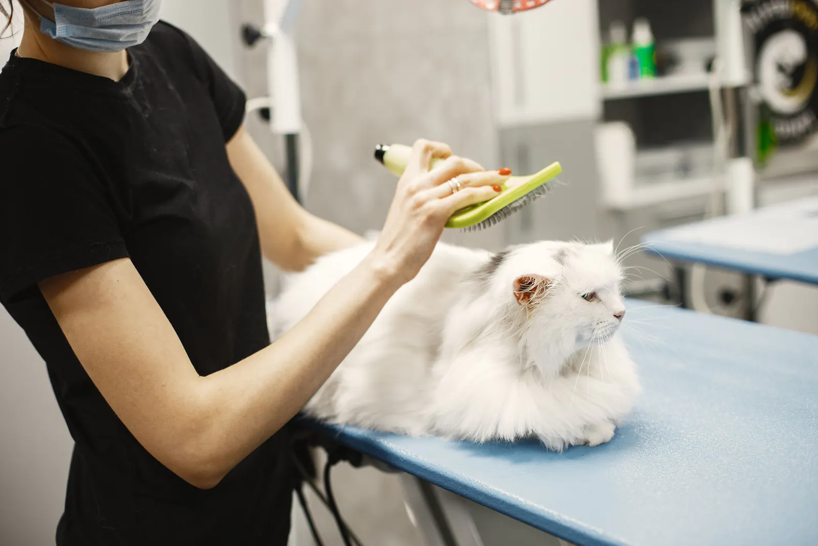 Pet groomer brushing a cat on a grooming table