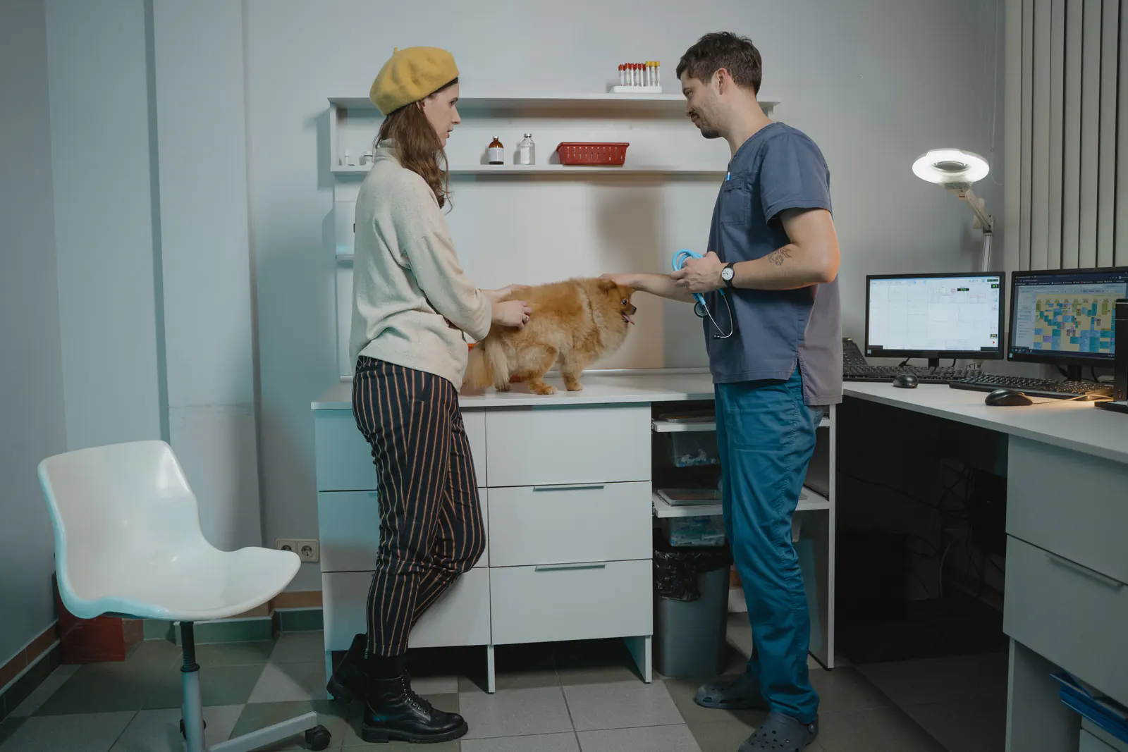 Veterinarian examining a dog with its owner in a clinic