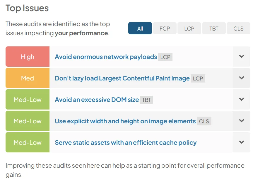 Top performance issues ordered by severity, including enormous network payloads, lazy loading the largest image, DOM size, image dimensions, and cache policy