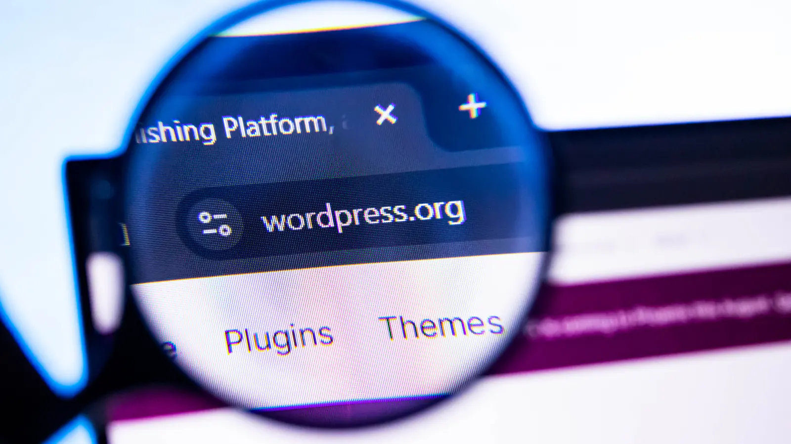 WordPress website viewed through a magnifying glass